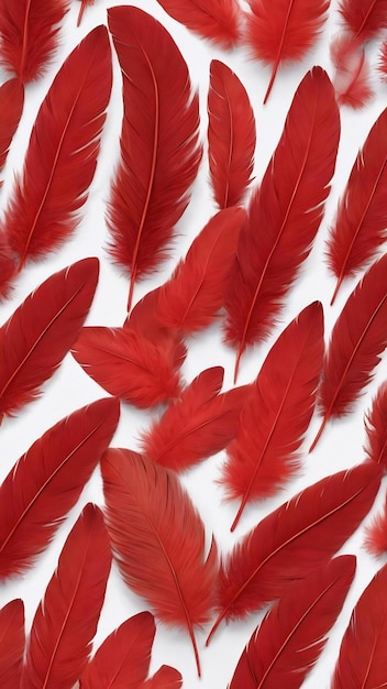 Red feather wallpapers that are high definition and high definition