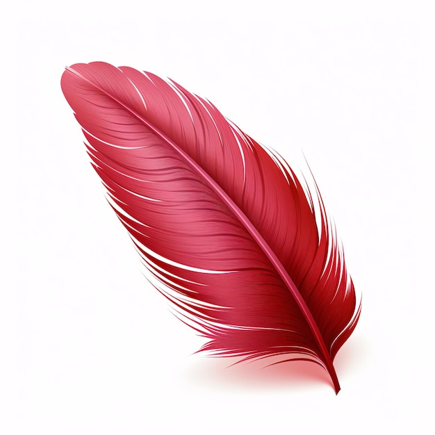 a red feather on a white background