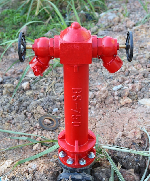 Red Fire Hydrant in Dirt and Weeds