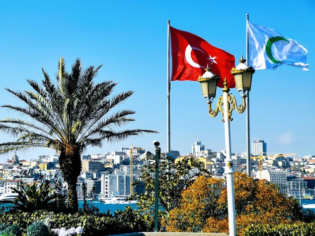 Foto bandiera rossa da palme contro il cielo