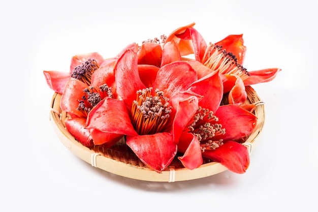 Red flower Bombax ceiba on white background