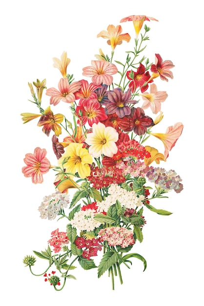 red flower bouquet png sticker vintage botanical on transparent background remastered by rawpixel