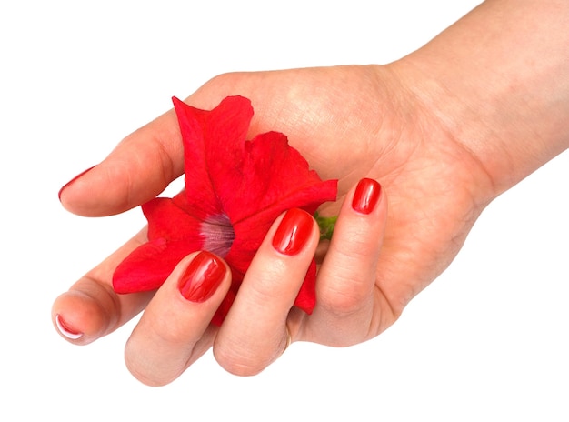 Red flower in her hand