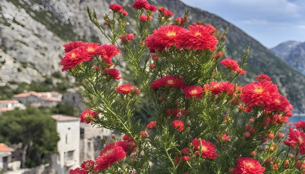 Photo a red flower with yellow and red flowers in front of a mountain