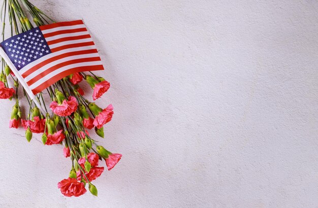 Red flowering plant against white wall