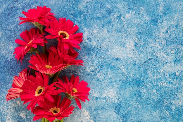 Red flowers on blue and white background