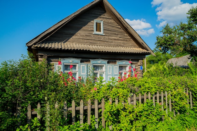 Red flowers in front of the windows of an old wooden house.