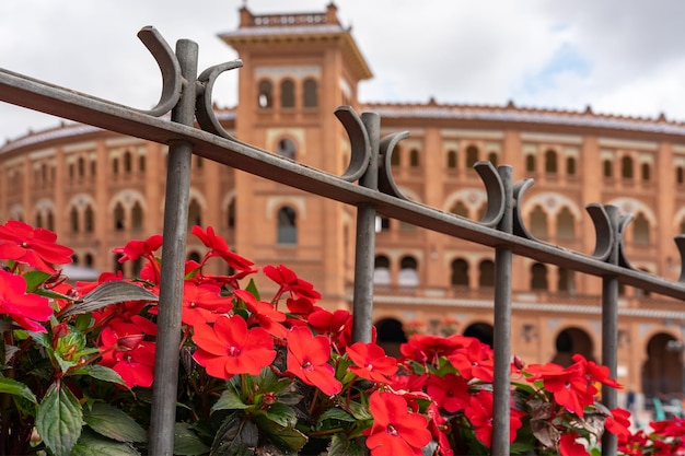 Red flowers in the gardens next to the Las Ventas bullring in Madrid