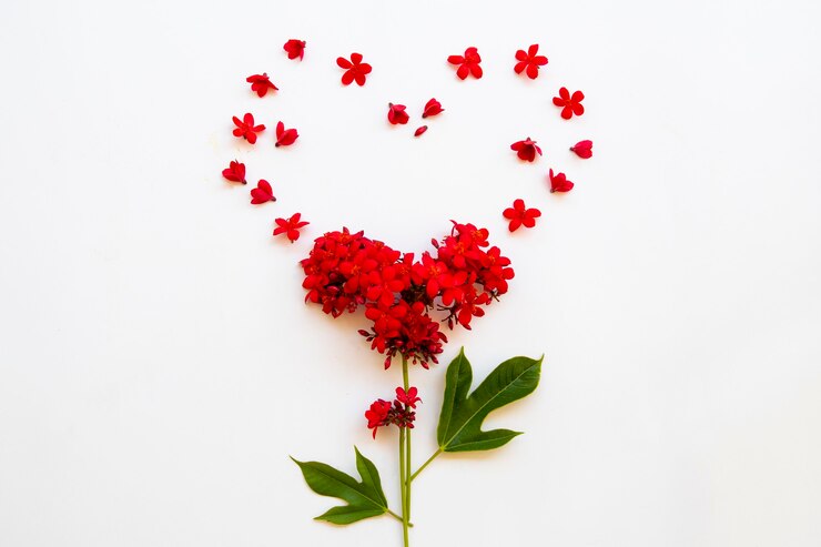 Photo red flowers rubiaceae arrangement hearts postcard style