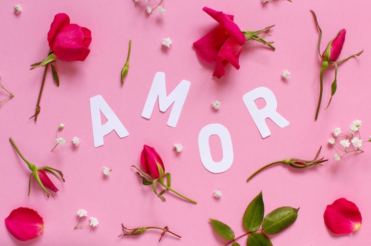 Photo red flowers and text amor on a light pink background top view