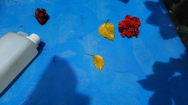 Red flowers and yellow leaves on a blue background with a white bottle