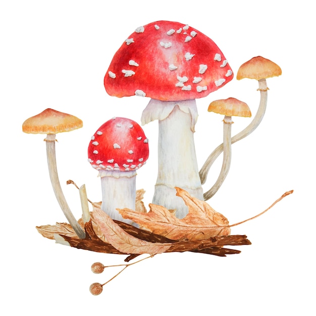 red fly agaric dried leaves branch linden seeds watercolor hand drawn realistic botanical