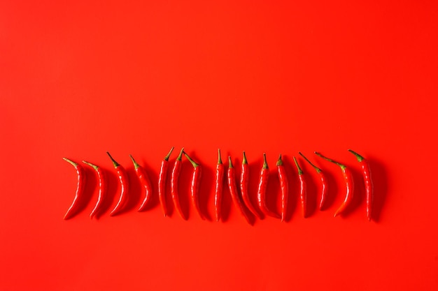 Red fresh hot chili pepper on red background top view