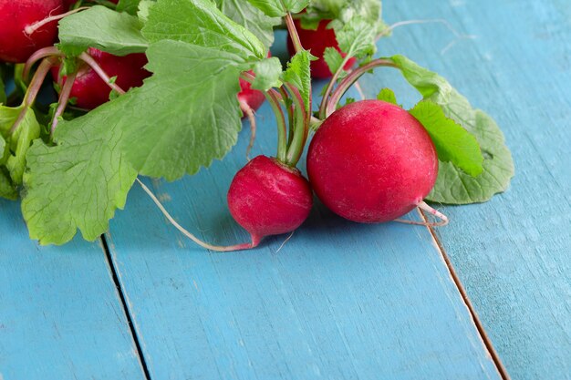 Red fresh radish on wooden