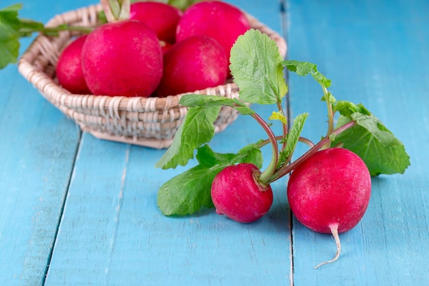 Red fresh radish on wooden