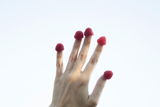 Red fresh raspberries on fingers. Ripe large raspberries are dressed on fingers