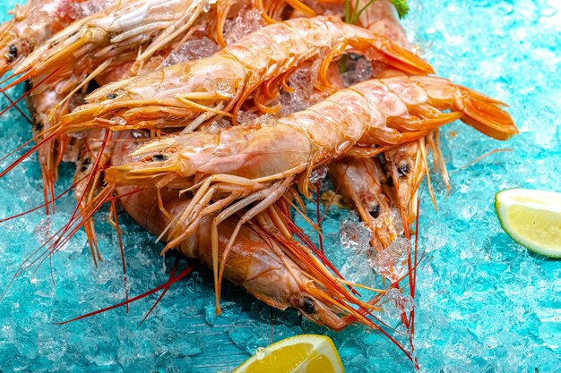 red fresh shrimp langoustines with and without a head, lie on the ice blue sea background, cherry