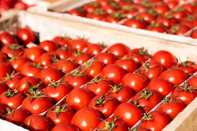 Red fresh tomatoes on the counter lots of tomatoes in boxes\
beautiful red tomatoes on sale