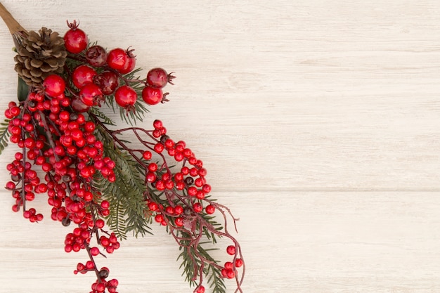 Red fruits on the branch Christmas for decoration