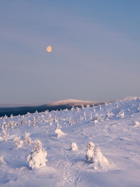 Red full cold moon over a snowcovered slope winter polar\
landscape with cone mountain cold winter weather harsh northern\
climate minimalistic vertical view