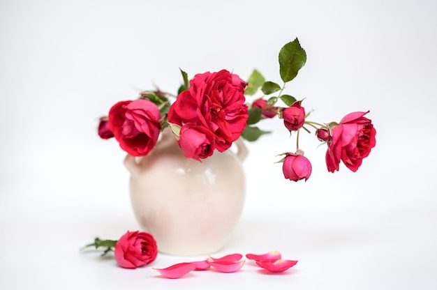 red garden roses in a white vase on a neutral