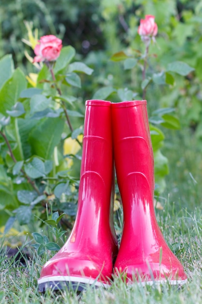 Red garden rubber boots on green grass and blurred background with rose bush