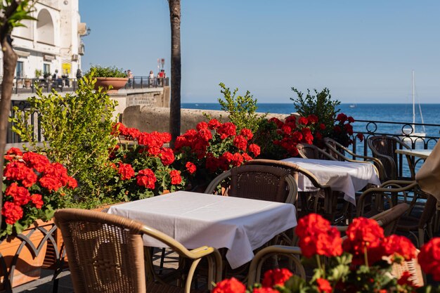 Red geranium outdoors in pots a cozy table in a cafe with a\
white tablecloth and a sea view