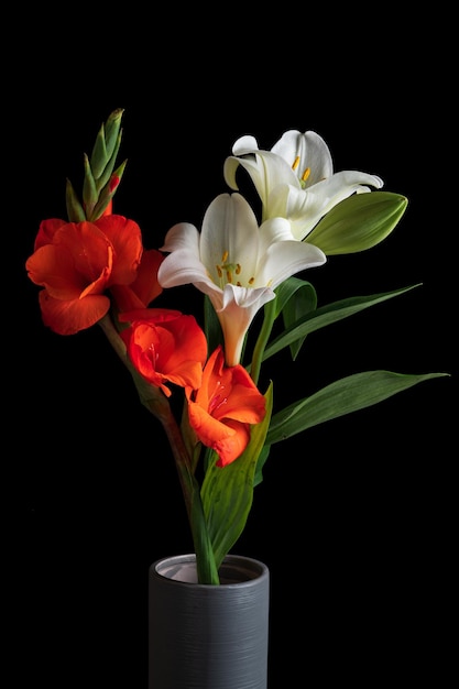 red gladiolus and white lily flowers on black background