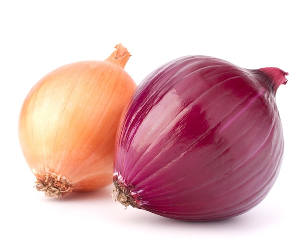 Red and gold onion bulbs