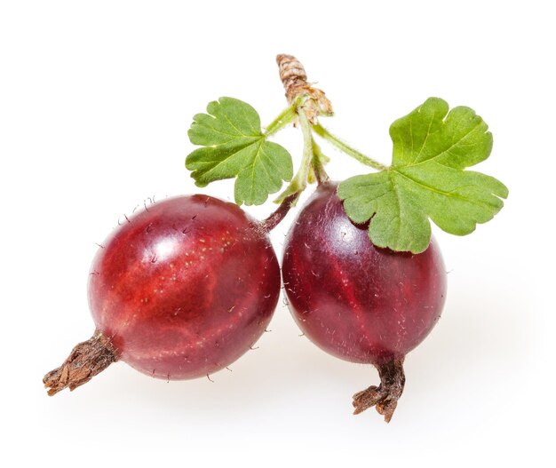 Red gooseberry with green leaves isolated on white background