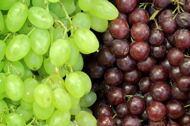 Grap rosso e grappolo verde per lo sfondo