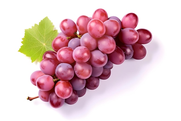 Red grape bunch and leaf isolated on white background