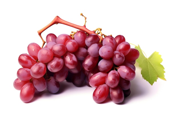 Red grape with leaf isolated on white background