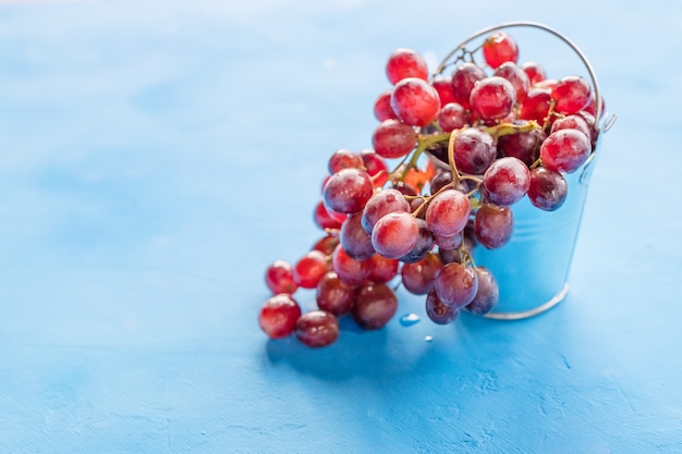 Red grape with water drops, closeup, isolated on bluebackground.Ripe grapes on a concrete surface. The harvest of grapes.wine,vineyard concept.Copy space