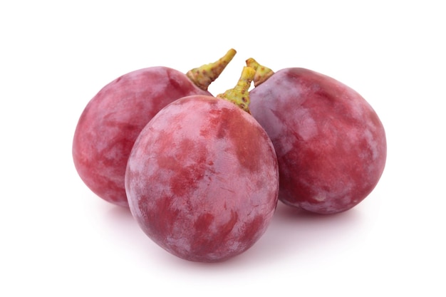 Red grape