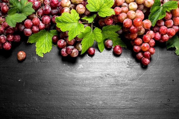 Red grapes with leaves on black chalkboard.