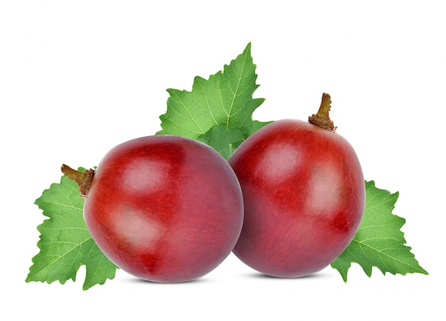 Red grapes