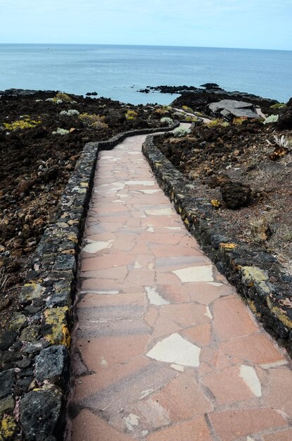 Red and Gray Paving Stones