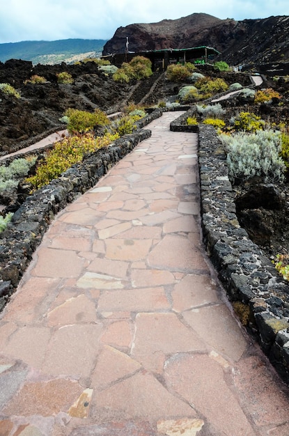 Red and Gray Paving Stones