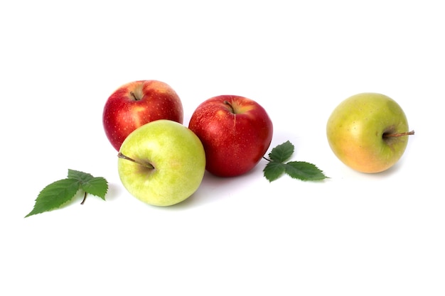 흰색 바탕에 빨강 및 녹색 사과입니다. 고립 된 배경에 녹색 잎이 있는 녹색 및 빨강 육즙 사과. 흰색 배경에 잘 익은 사과의 그룹입니다.
