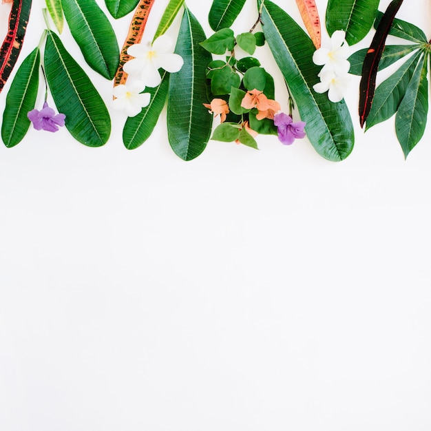 Red and green leaf pattern on white