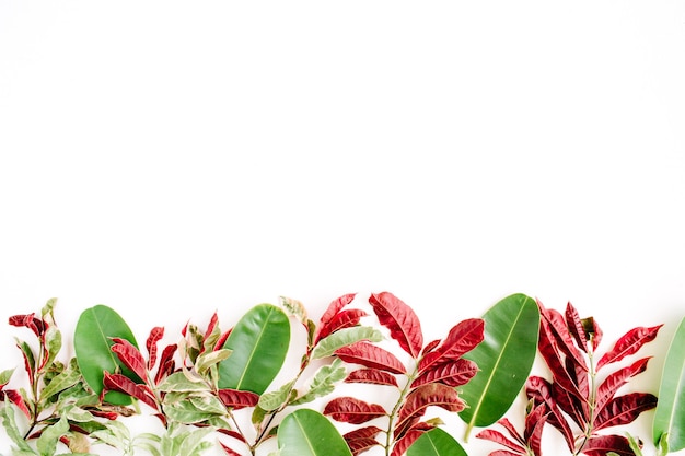 Red and green leaf pattern on white