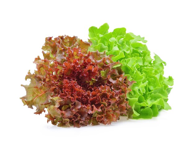 Красный и зеленый салат дуба на белой предпосылке.
