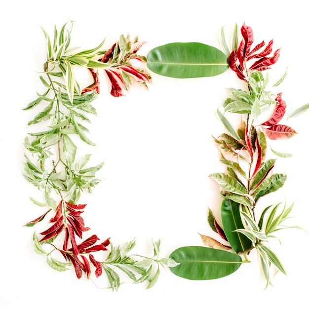 Red and green petals and leaf frame on white