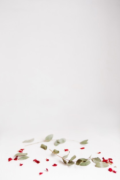 Red and green petals on white stand. Copyspace.