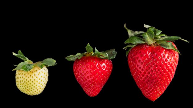 Red and green strawberry on a black