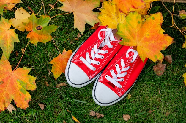 Red gumshoes with maple leaves on a green grass in a garden