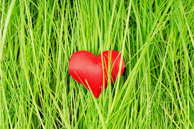 Red heart on a background of green grass