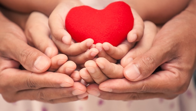 Red heart in child kid  mother and father hands