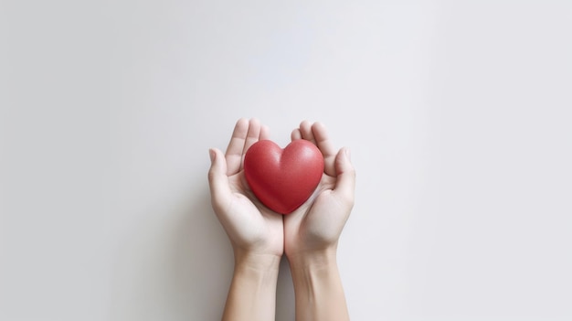 A red heart in the hands of a person